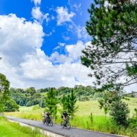 Bike & Mountain Bike Tours