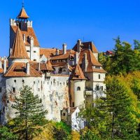 Bus & Minivan Tours