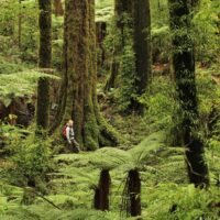 Eco Tours