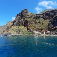 Day Cruises