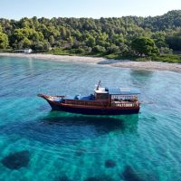Boat Tours