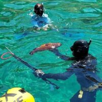 Fishing Charters & Tours