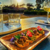 Wine Tasting & Winery Tours