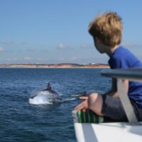 Cruises, Sailing & Water Tours