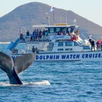 Holiday & Seasonal Tours