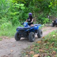 Half-day Tours