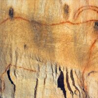 Historical & Heritage Tours