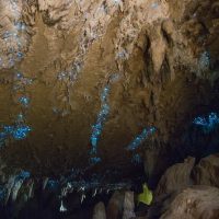 Cultural & Theme Tours