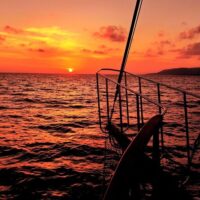 Boat Tours