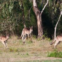 Photography Tours