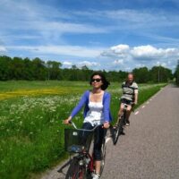 Private Sightseeing Tours