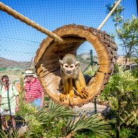 Walking & Biking Tours