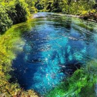 Day Trips & Excursions