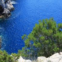 Cruises, Sailing & Water Tours