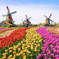 Private & Custom Tours