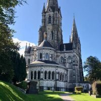 Shore Excursions