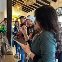 Half-day Tours