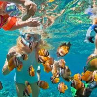 Snorkeling
