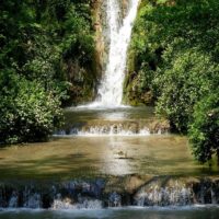 Private & Custom Tours