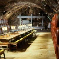 Food, Wine & Nightlife