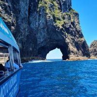 Half-day Tours