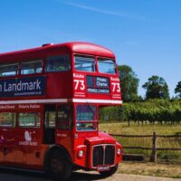 Wine Tasting & Winery Tours