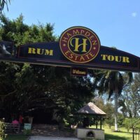Holiday & Seasonal Tours