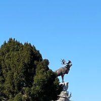 Private Sightseeing Tours