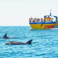 Eco Tours