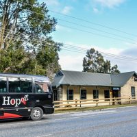 Hop-on Hop-off Tours