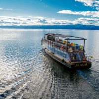 Boat Tours