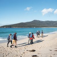 Half-day Tours