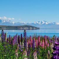 Full-day Tours