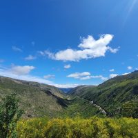 Bus & Minivan Tours