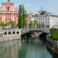 Boat Tours
