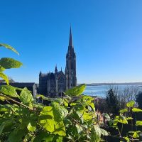 Cultural Tours