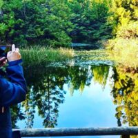 Walking Tours
