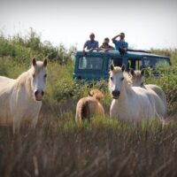 4WD, ATV & Off-Road Tours