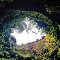 Shore Excursions