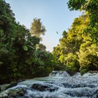 Hiking & Camping