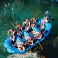 Boat Tours