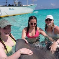 Bus & Minivan Tours