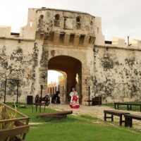 Tours & Sightseeing