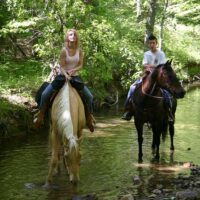 Horseback Riding