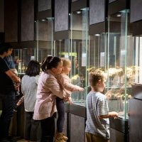 Cultural & Theme Tours