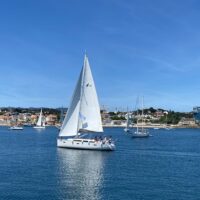 Day Cruises