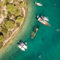 Boat Tours