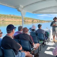Boat Tours
