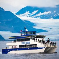 Dolphin & Whale Watching