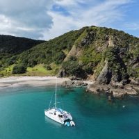 Shore Excursions